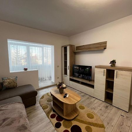 Cozy Urban Accommodation In Beautiful Suceava Extérieur photo