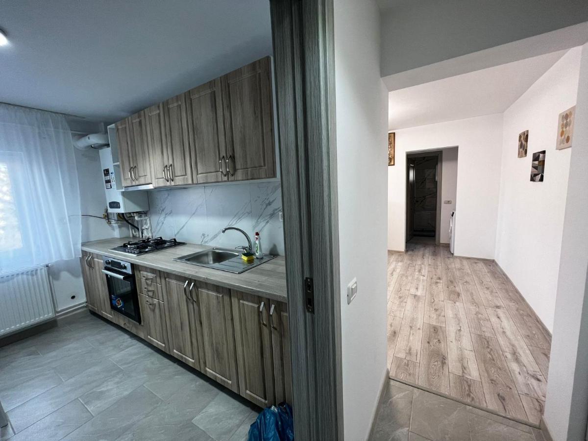 Cozy Urban Accommodation In Beautiful Suceava Extérieur photo