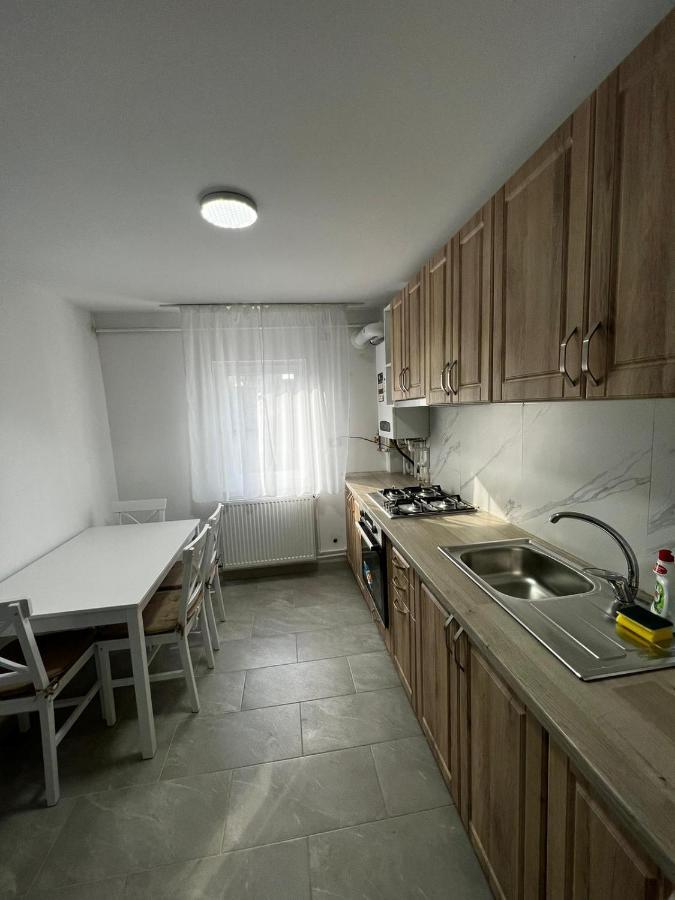 Cozy Urban Accommodation In Beautiful Suceava Extérieur photo